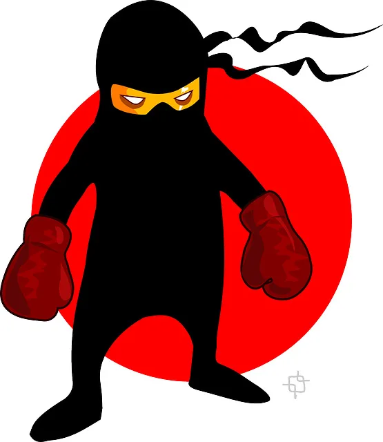 ninja writer